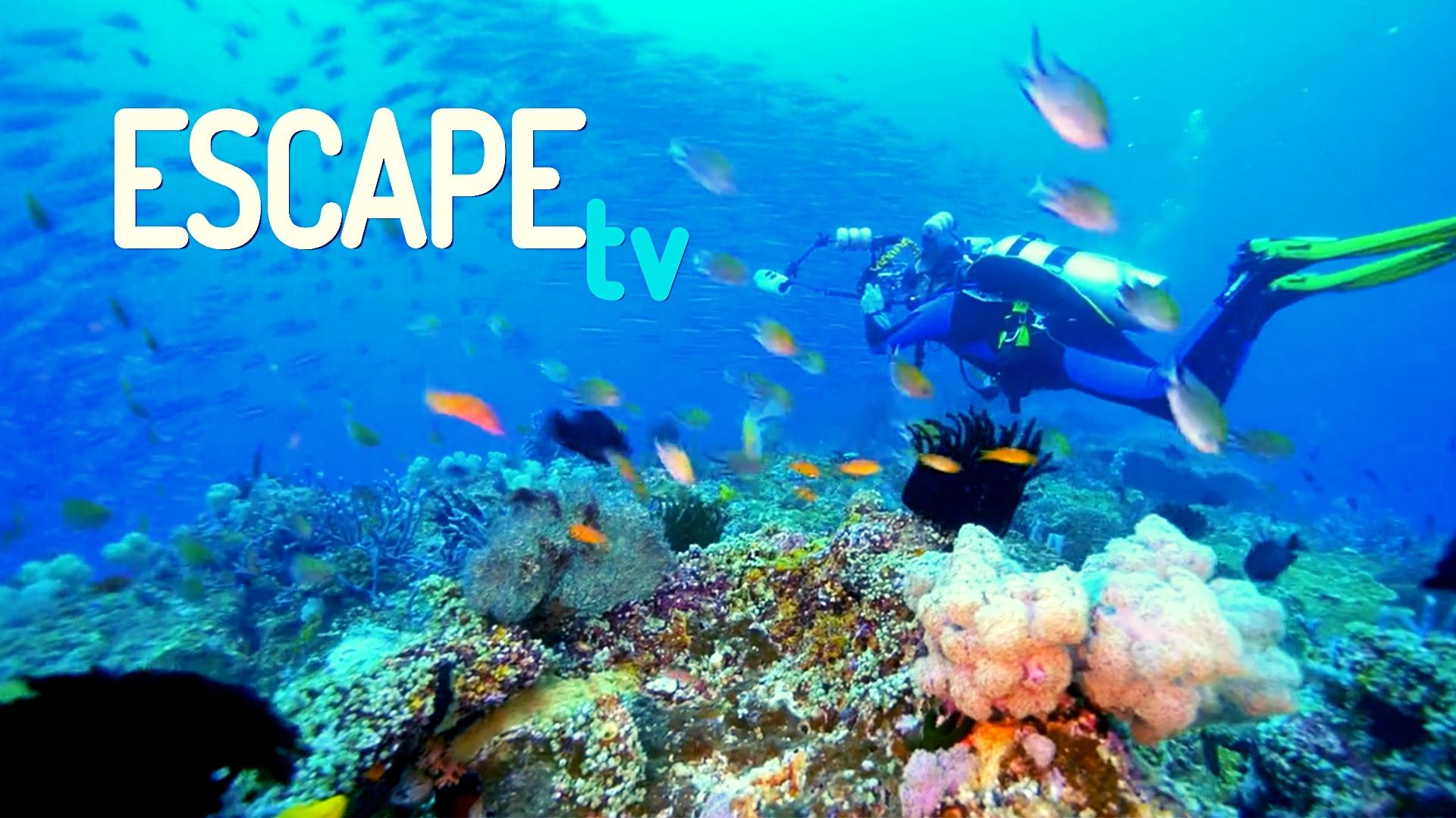 Dive Site Manta Point, Nusa Penida, Indonesia Online